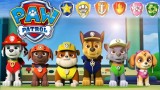 Joc Paw Patrol On A Roll pentru Xbox One