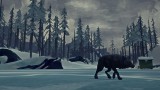 Joc The Long Dark pentru PS4