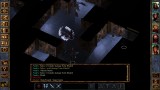 Joc Planescape Torment Icewind Dale pentru Nintendo Switch