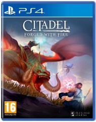 Citadel Forged With Fire