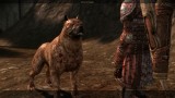 Joc Dragon Age Origins Ultimate Edition pentru PC