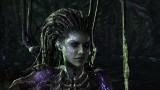 Joc Starcraft II 2 Heart Of The Swarm pentru PC