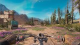 Joc Far Cry New Dawn Superbloom Edition pentru PS4