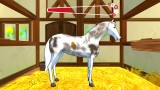 Joc Bibi Tina Adventures With Horses pentru PlayStation 4 | PS4