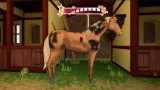 Joc Bibi Tina Adventures With Horses pentru PlayStation 4 | PS4