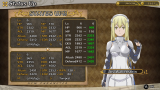 Joc Wrong To Pick Up Girls In A Dungeon Infinite Combate pentru PS4