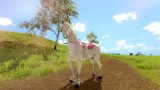 Joc The Unicorn Princess pentru Nintendo Switch