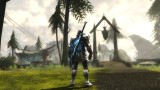 Joc Kingdoms Of Amalur Re Reckoning pentru PS4