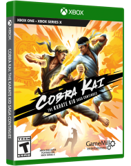 Cobra Kai The Karate Kid Saga