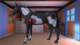 Joc My Riding Stables 2 A New Adventure pentru PS4