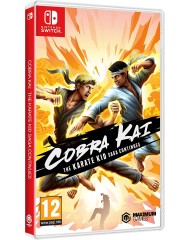 Cobra Kai The Karate Kid Saga