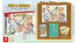 Joc Story Of Seasons Pioneers Of Olive Town Deluxe Edition pentru Nintendo Switch