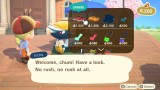 Joc Animal Crossing New Horizons pentru Nintendo Switch