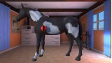 Joc My Riding Stables 2 A New Adventure pentru Nintendo Switch