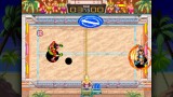 Joc Windjammers pentru Nintendo Switch