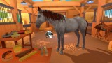 Joc Equestrian Training pentru Nintendo Switch