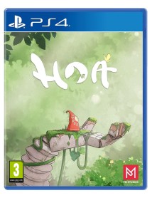 Hoa 