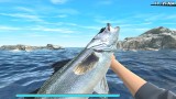 Joc Reel Fishing Road Trip Adventure pentru PS4