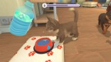 Joc My Universe Puppies And Kittens pentru Nintendo Switch