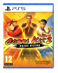 imagineCobra Kai 2 Dojos Rising