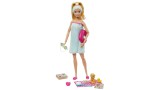 Papusa Wellness Spa Barbie (gjg55)