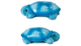 Jucarie Plus Cloud B Twilight Turtle Light Blue (cb7323-bl)