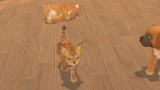My Universe Puppies And Kittens (code In A Box) - Nintendo Switch