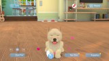 My Universe Puppies And Kittens (code In A Box) - Nintendo Switch