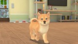 My Universe Puppies And Kittens (code In A Box) - Nintendo Switch