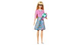 Papusa Barbie Blonde Teacher (gjc23)