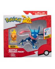 Pokemon Greninja & Torchic Pkw2905