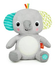 Plus Bright Starts Hug-a-bye Baby (12498)