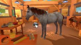 Equestrian Training (code In A Box) - Nintendo Switch