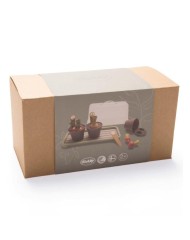 Set Dantoy Green Garden Mini Greenhouse (4725)