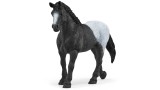 Animalut Set Schleich Horse Club Box With Mare & Foal (42611)