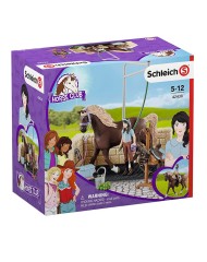 Set Schleich Horse Club Washing Area With Emily & Luna (42438)