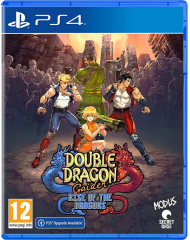 Double Dragon Gaiden Rise Of The Dragons