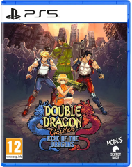Double Dragon Gaiden Rise Of The Dragons