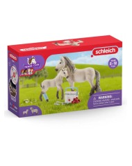 Set Schleich Horse Club Hannahs First-aid Kit (42430)
