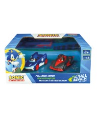 Pull Speed Team Sonic Racing Sonic Vs. Shadow 1:43 (15813023)