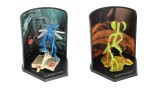 Harry Potter Mystery Cube Magical Creatures S2 Random