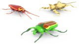 Jucarie Robot Robo Hexbug Nano Real Bugs (6068914)