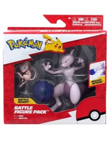 Pokemon Battle Mewtwo And Mew 