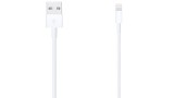 Cablu Apple Lightning A Usb (1m)