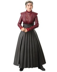 imagineStar Wars The Black Series Ahsoka Morgan Elsbet...