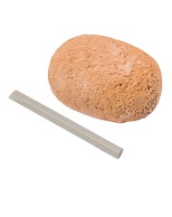 Dinozaur Random As Digging Dino Egg (1027-64223)