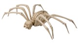 Animalut Joker Halloween Skeleton Spider (96173)
