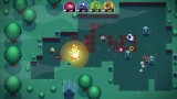 Blazing Beaks - Nintendo Switch