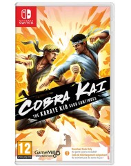 Cobra Kai The Karate Kid Saga Continues