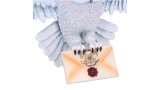 Harry Potter Hedwig Wall Plaque 45cm